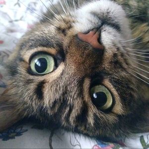 Meet your Posher, Mari!